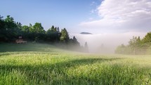 Foggy morning in green meadow Time lapse
