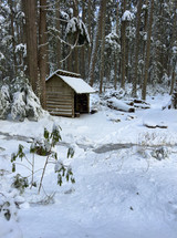 Snow covered shelter in the woods. 