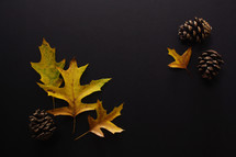pine cones and fall leaves on black 