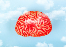 Brain in the clouds in the blue sky. Concept of head in the clouds.
