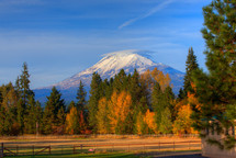 snow capped mountain peak behind autumn trees