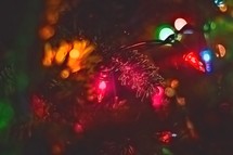 string of Christmas lights on a Christmas tree 