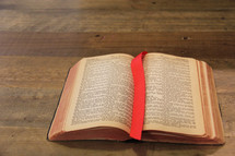 bookmark between the pages of a Bible 