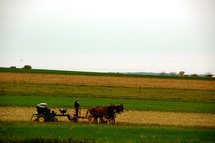 farmer and plow on a farm 