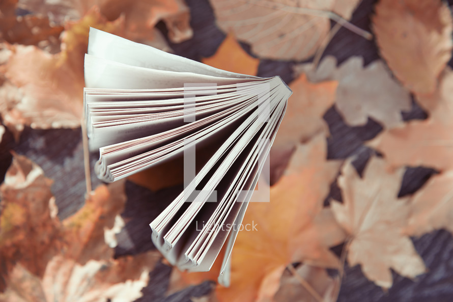 book on fall leaves 