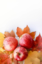 apples and fall leaves on a white background 