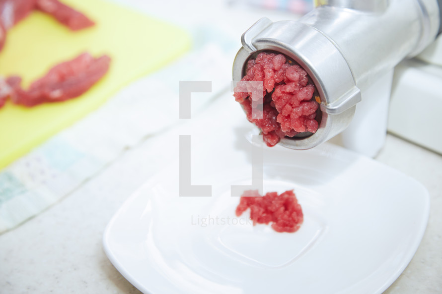 meat grinder 