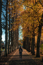 a woman walking on a sidewalk under fall trees 
