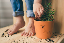 potted plant and a kid with dirty feet