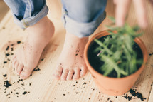 dirty feet and a potted plant 