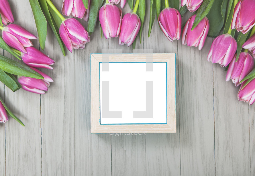 Spring Tulip Flowers with Blank Frame 