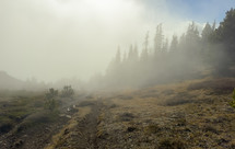 Mist on the mountain