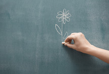 drawing a flower on a chalkboard 