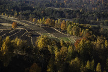 Italian countryside in fall 