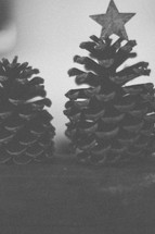 Christmas pine cone 