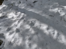 Background of snow with light and shadows