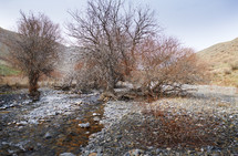 winter stream 
