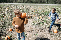 children in a pumpkin patch 