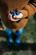 boy holding blueberries in his hands 