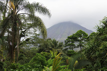 volcanic mountain and jungle 