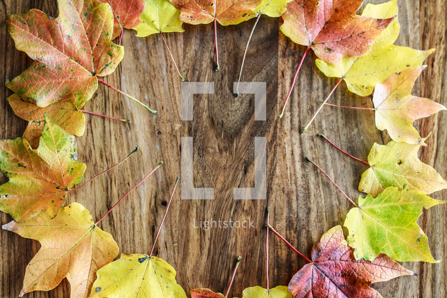 border of fall leaves on a wood background 