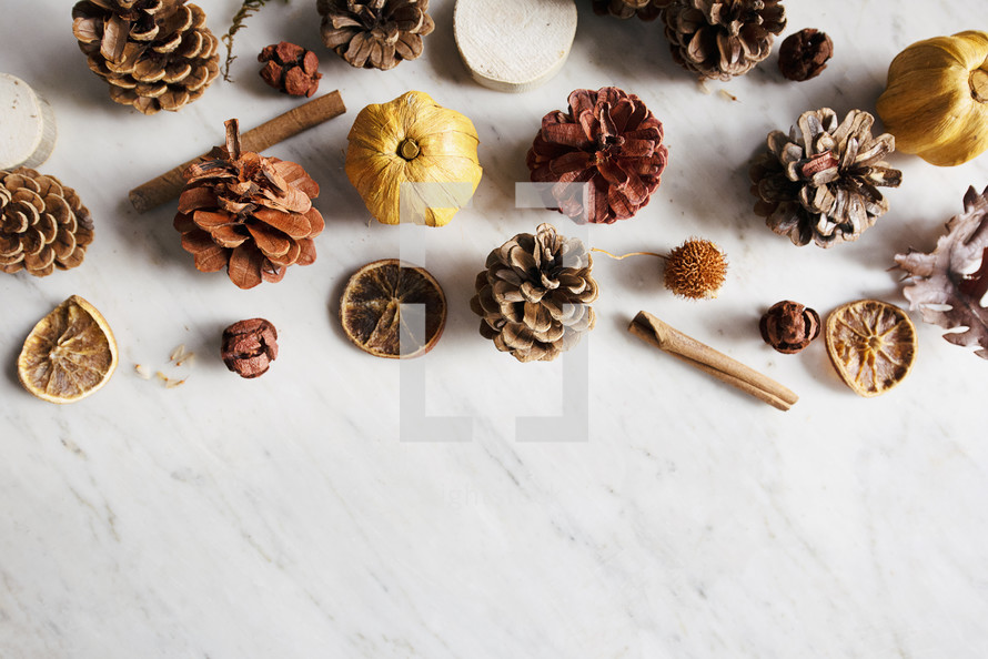 pine cones and dried fruit on marble 