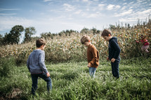 little boys standing in a corn field 