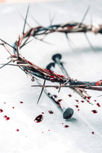 Crown of thorns with blood dripping, nails on stone. Christian concept of Jesus Christ suffering, passion. 