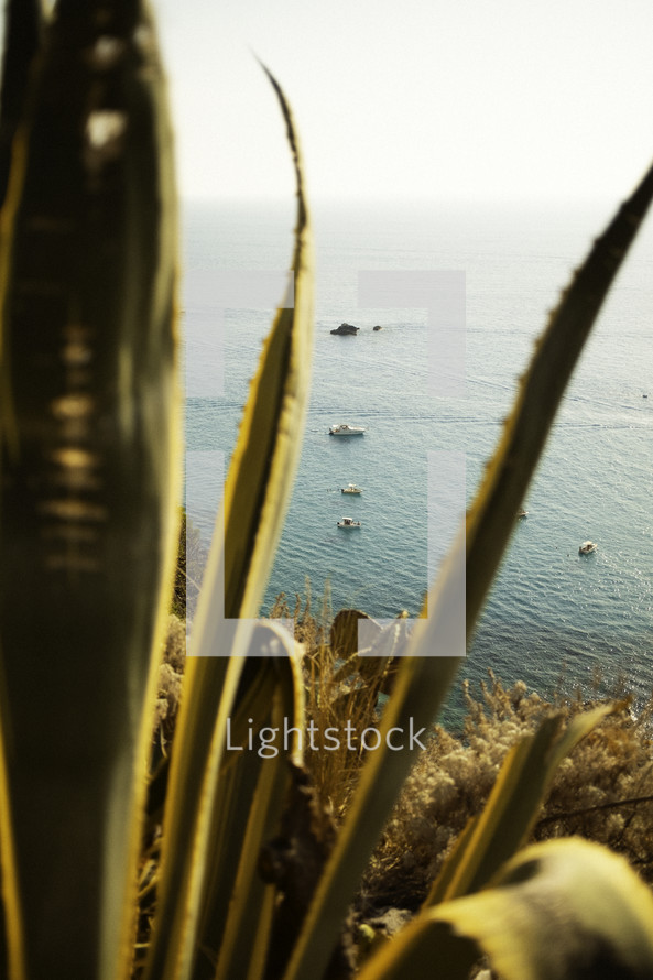 Boats Moored In Calm Sea