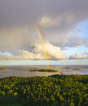 rainbow and forest along a shore 