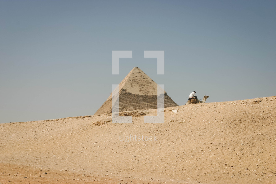  pyramids in Egypt and resting camel 