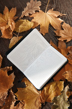 notebook and fall leaves 