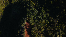 aerial view over trees in a forest 