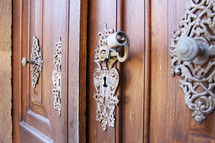 ornate door knob on a wood door 