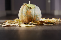 Halloween pumpkin at the hardwood floor with leaves