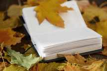 Close-up view on a blank notepad with autumn leaves