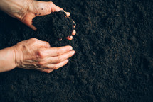 Hands in soil