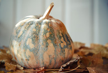 rustic October pumpkin 