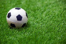 toy soccer ball in grass
