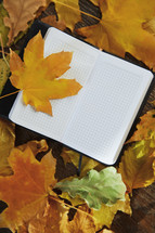 open notebook on fall leaves 