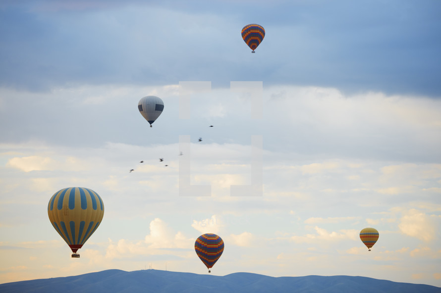 hot air balloons 
