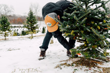 man cutting down a Christmas tree 