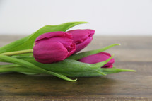 Several purple tulips laying on a wooden table.