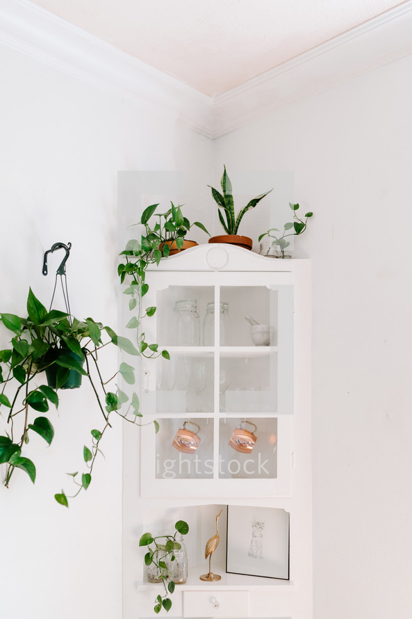 house plants on a corner cabinet 