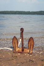 rusty anchor sitting upright on a lake shore