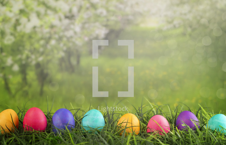 row of Easter eggs in grass 