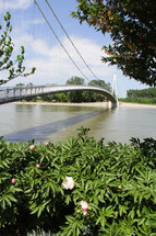 a bridge over a river and flowering plants along a shore 