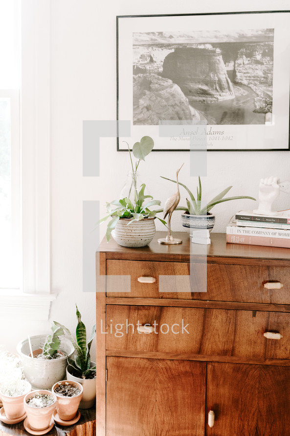dresser and house plants 