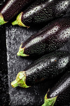 Fresh homemade eggplant on the table. On a wooden background. High quality photo