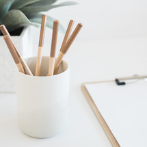 colored pencils in a cup and house plant on a desk 